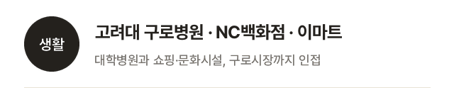 의료·쇼핑: 고려대 구로병원, NC백화점·이마트·구로시장
